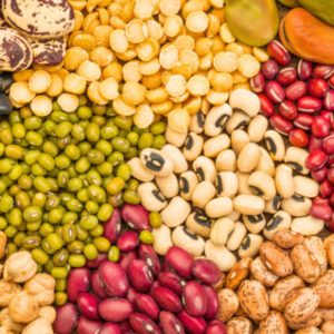 Legumes & Pulses