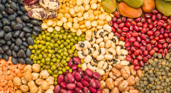 Legumes & Pulses