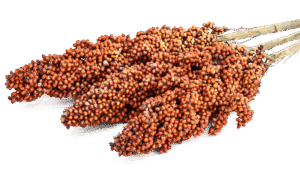 sorghum 01.png